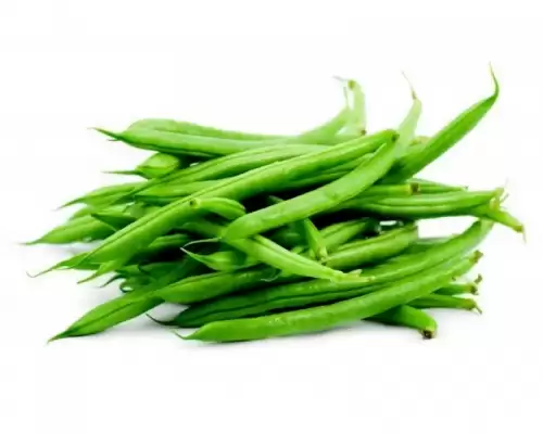 french-beans-seeds-dubbele-witte